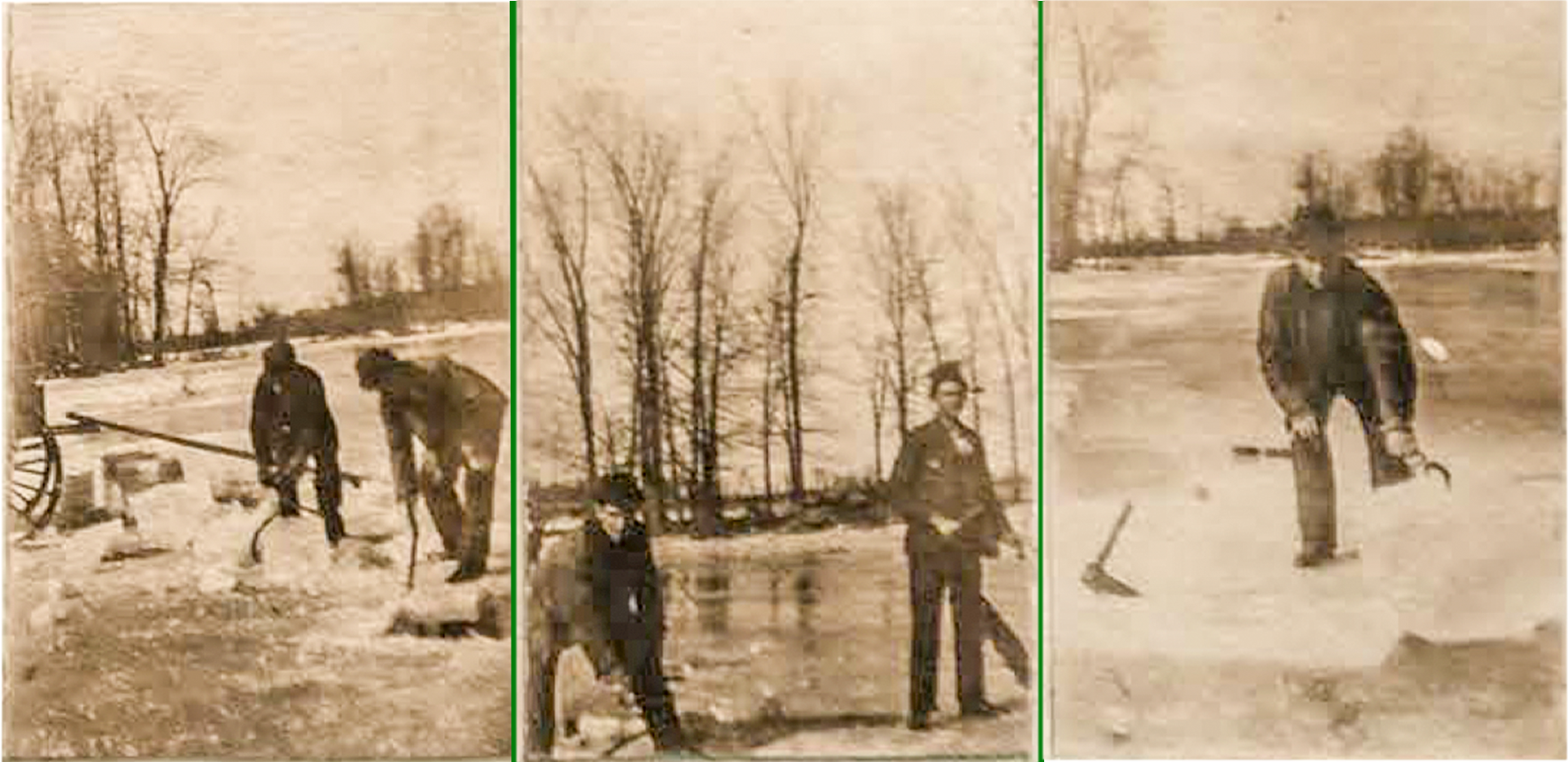 O'Callaghans Harvesting Ice on Steven's Creek - 1910