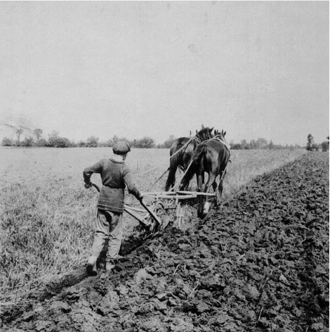 Boy ploughing in field with horses ~ c.1900